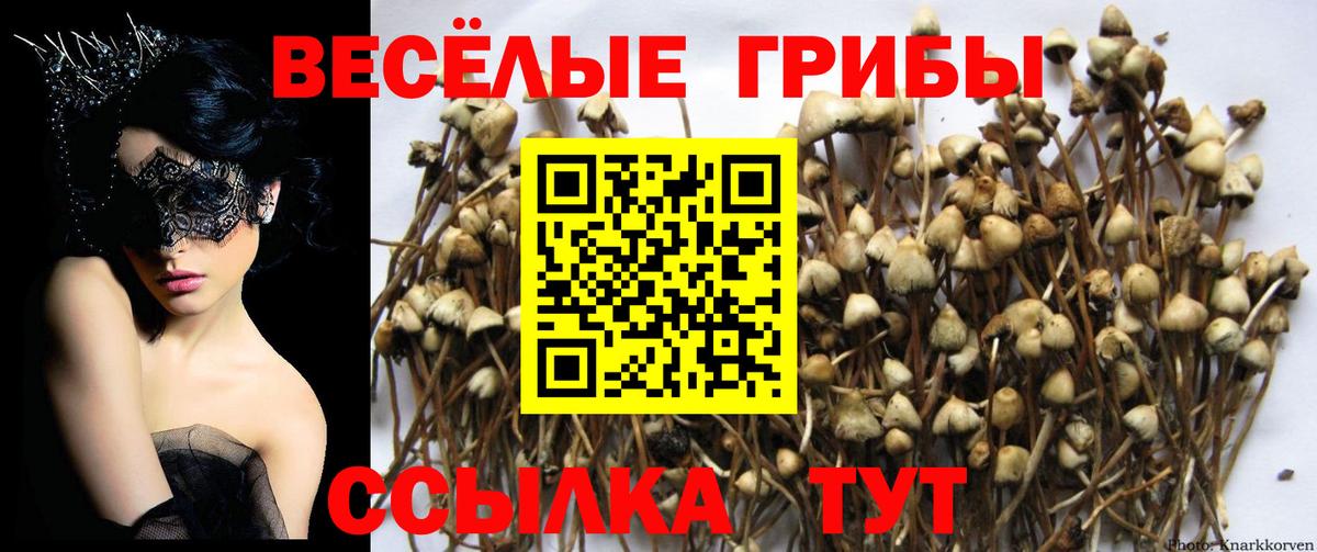 Нижневартовск  Псилоцибиновые грибы прущие грибы  Вход с VPN  Галлюциногенные грибы мухоморы 
